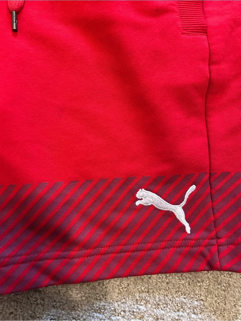 Puma austria soccer